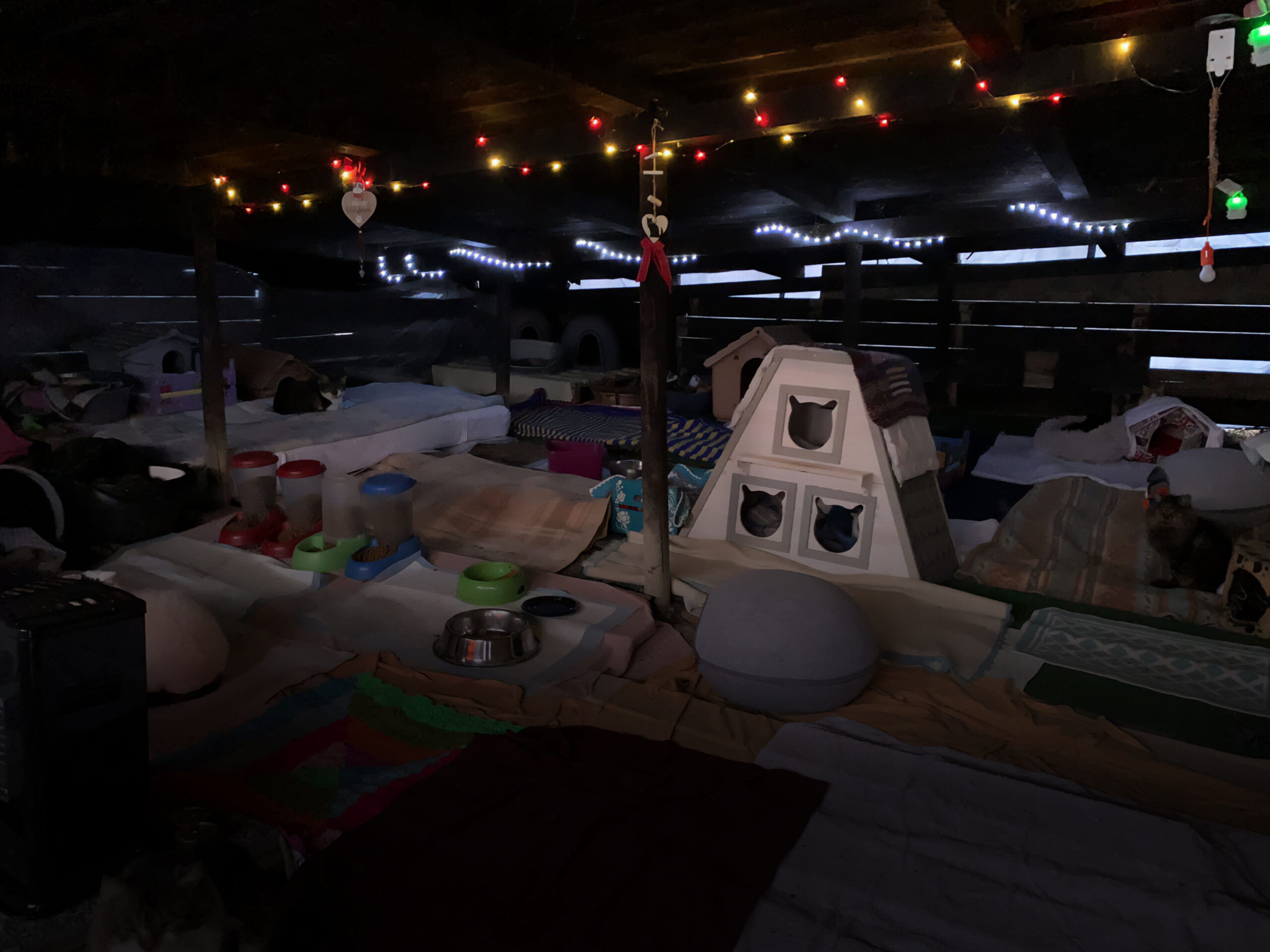 HOME_slide02
