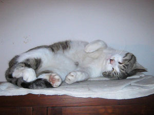 artù